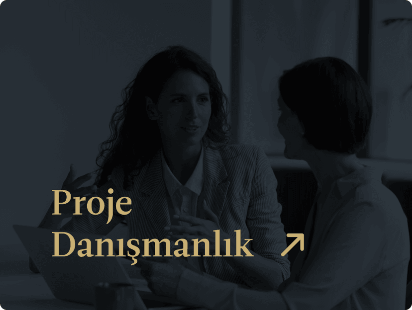 Proje Danışmanlık